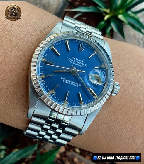 Rolex Datejust Blue Tropical Fade Automatic Cal.3035 Swiss Jubille Steel รูปที่ 14