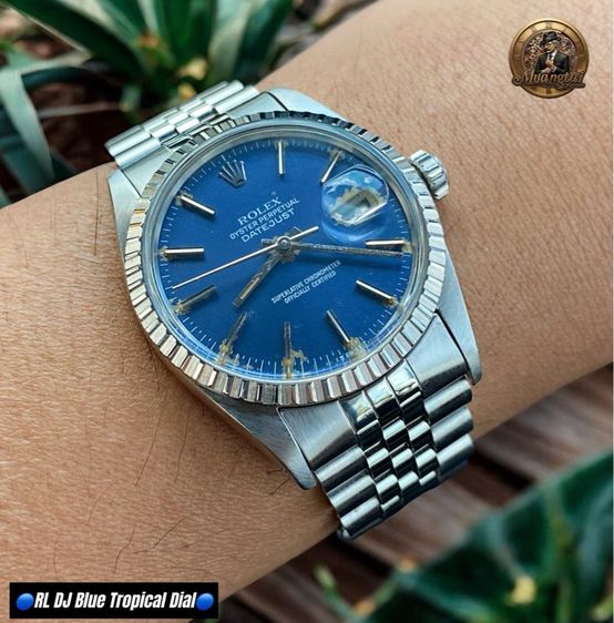 Rolex Datejust Blue Tropical Fade Automatic Cal.3035 Swiss Jubille Steel รูปที่ 5