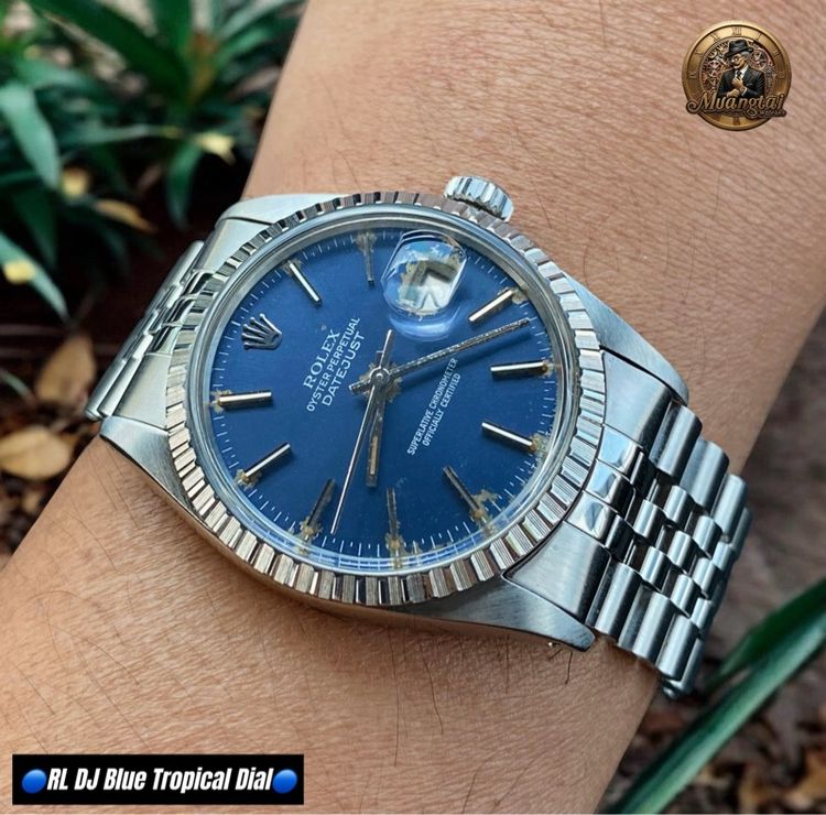 Rolex Datejust Blue Tropical Fade Automatic Cal.3035 Swiss Jubille Steel รูปที่ 4
