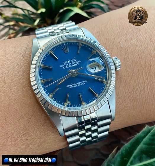 Rolex Datejust Blue Tropical Fade Automatic Cal.3035 Swiss Jubille Steel รูปที่ 2