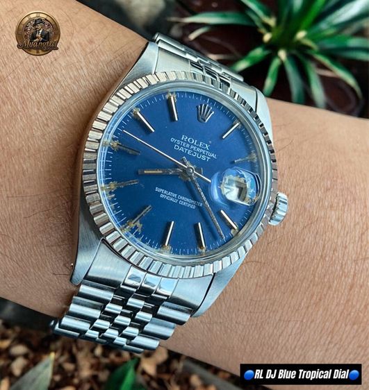Rolex Datejust Blue Tropical Fade Automatic Cal.3035 Swiss Jubille Steel