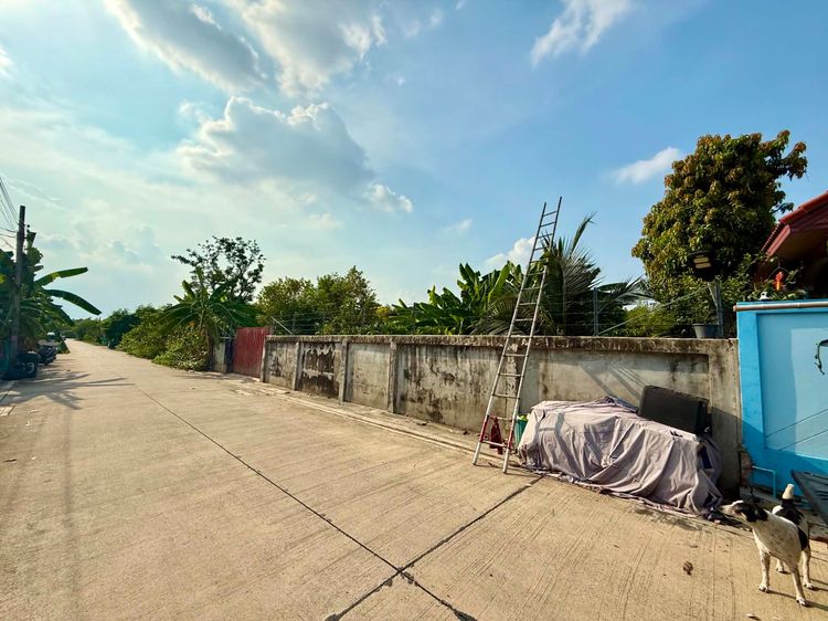 ที่ดินเปล่า ซอยสายไหม 6  พหลโยธิน