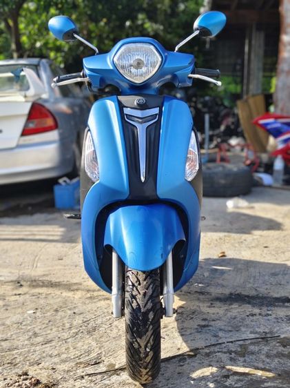 GLAND FILANO  รูปที่ 4