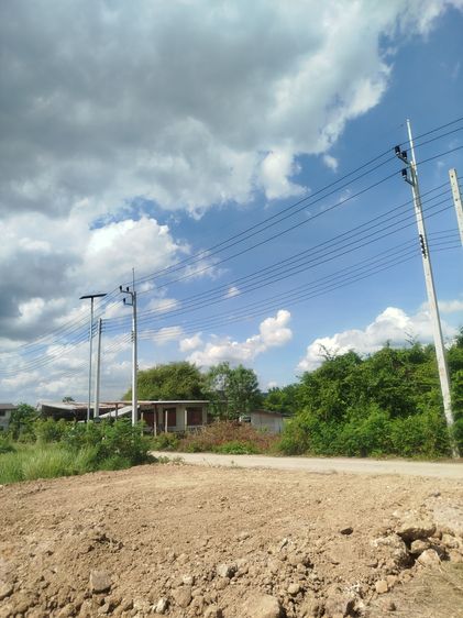 สดผ่อน 41ตรว 330,000บาท ต.ทับกวาง อ.แก่งคอย จ.สระบุรี  รูปที่ 3