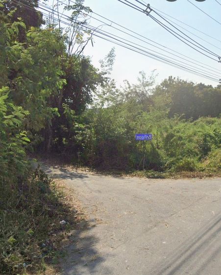 ที่ดินติดถนน ถมแล้ว บ้านพริก-บ้านนา-นครนายก รูปที่ 3