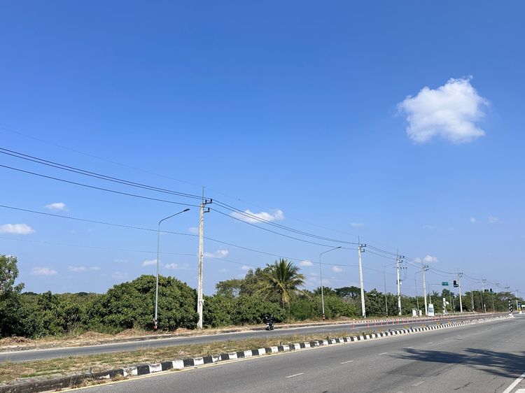 ขายที่ดินจ.ลำพูน ติดถนน 4 เลน ถนนเลี่ยงเมือง(เหมืองง่า) ห่างจากโรงพยาบาลลำพูน 3.8 กม. รูปที่ 3