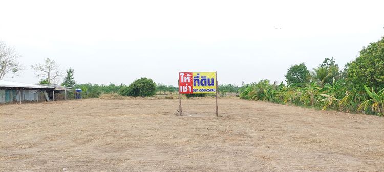 ให้เช่าที่ดิน ทำเลดี ถมแล้ว 1 ไร่ คลองสิบ ลำลูกกา จ.ปทุมธานี รูปที่ 3