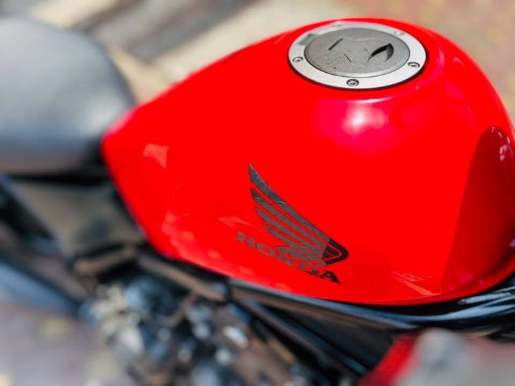 Hona Rebel500 ปี 2017 รูปที่ 8
