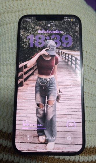 Ip12promax512gb