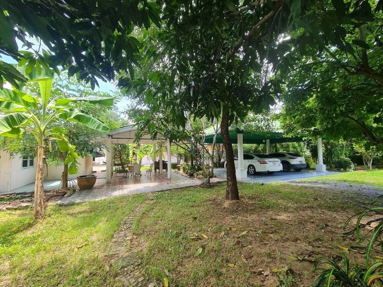ไม่มี บ้านพร้อมที่ดิน 3 ไร่ 85 ตร.ว.  รูปที่ 3