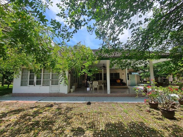 บ้านพร้อมที่ดิน 3 ไร่ 85 ตร.ว.
