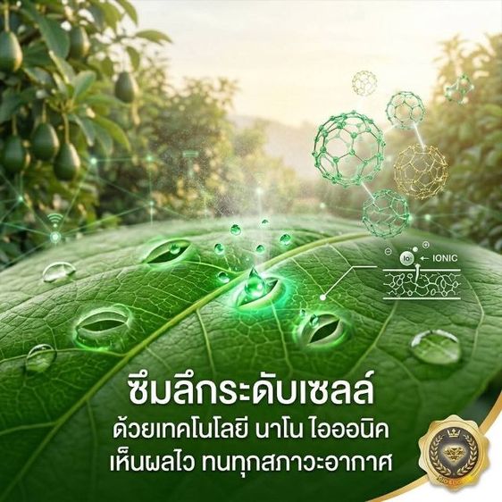 อาหารพืช ฮอร์โมนพืช รูปที่ 4