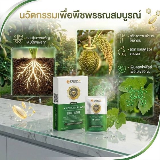 อาหารพืช ฮอร์โมนพืช รูปที่ 3