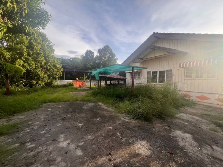 บ้านเดี่ยวพร้อมที่ดิน