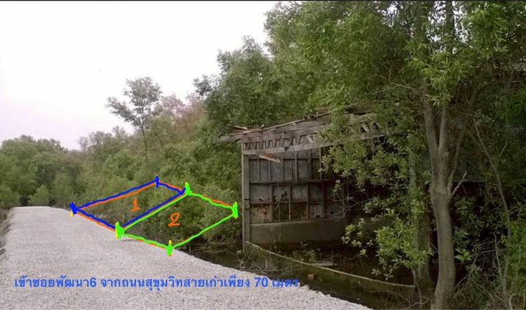 ไม่ใช่ ขายที่ดินเปล่ามี2แปลง 68,69 ตรว. ล้านต้นๆ ที่ดินห่างจากถนนสุขุมวิทสายเก่าเพียง70 เมตร อำเภอบางบ่อ จังหวัดสมุทรปราการ รูปที่ 4