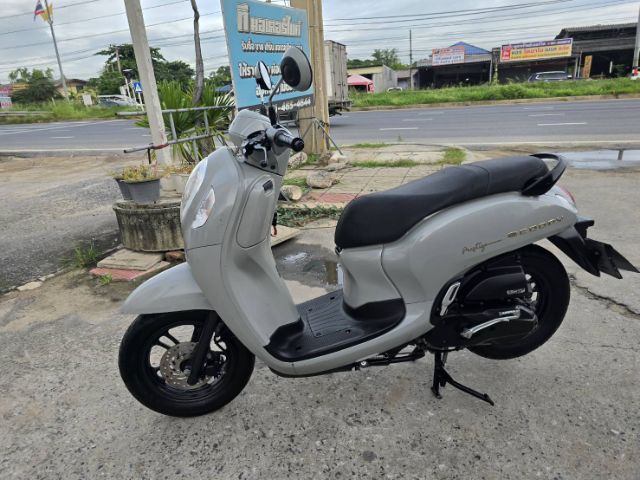ขายด่วน honda scoopy ปี 2024 รูปที่ 2
