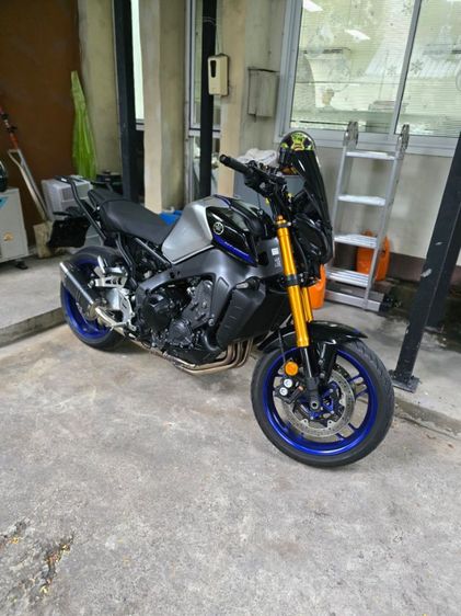 tm 09 2023 ขายสดอย่างเดียวมือเดียว รูปที่ 17