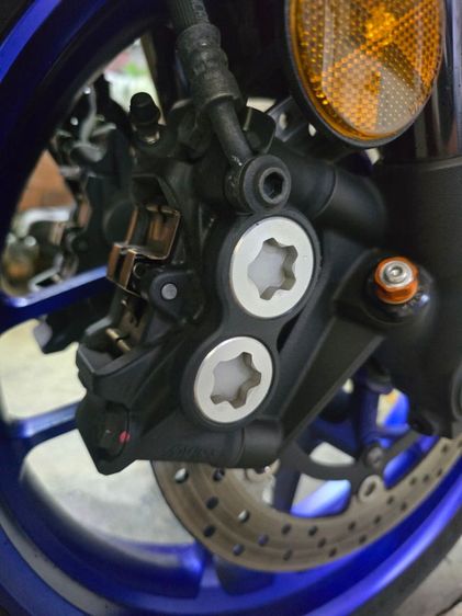 tm 09 2023 ขายสดอย่างเดียวมือเดียว รูปที่ 4