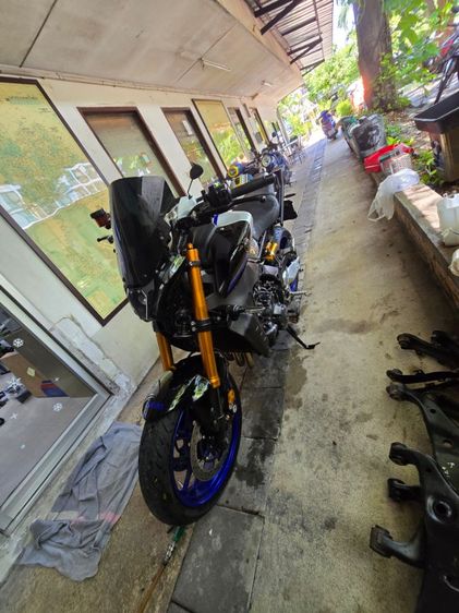 tm 09 2023 ขายสดอย่างเดียวมือเดียว รูปที่ 12