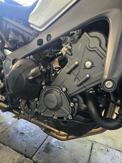 tm 09 2023 ขายสดอย่างเดียวมือเดียว รูปที่ 5