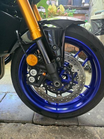 tm 09 2023 ขายสดอย่างเดียวมือเดียว รูปที่ 3
