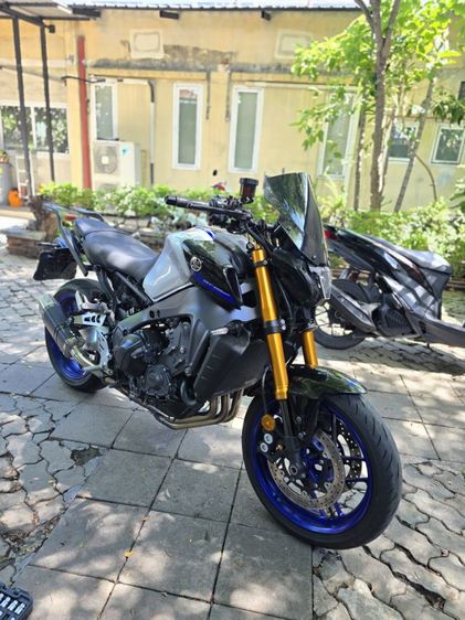 tm 09 2023 ขายสดอย่างเดียวมือเดียว รูปที่ 15