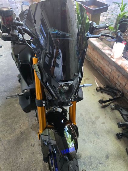 tm 09 2023 ขายสดอย่างเดียวมือเดียว รูปที่ 7