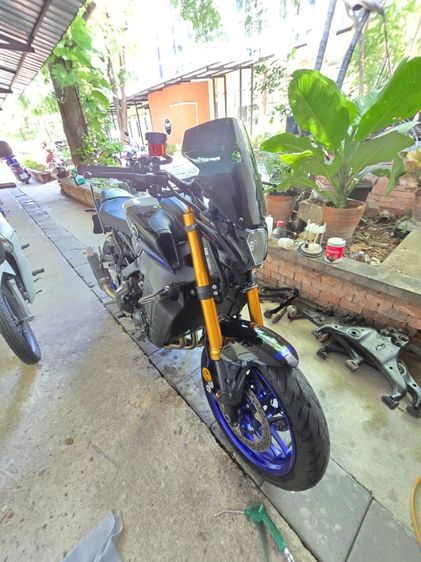 tm 09 2023 ขายสดอย่างเดียวมือเดียว รูปที่ 13