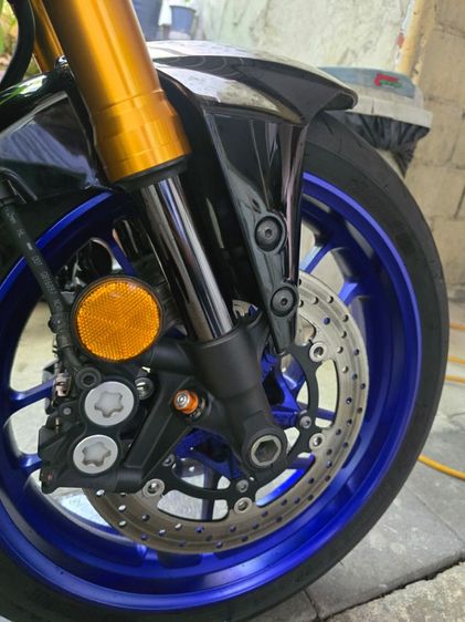 tm 09 2023 ขายสดอย่างเดียวมือเดียว รูปที่ 2