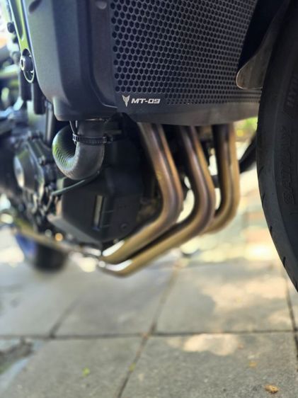 tm 09 2023 ขายสดอย่างเดียวมือเดียว รูปที่ 10