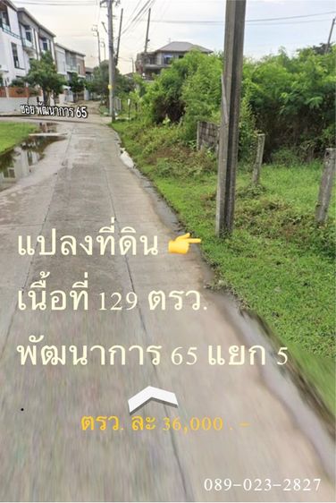 ขาย ที่ดิน พัฒนาการ 65 แยก 5