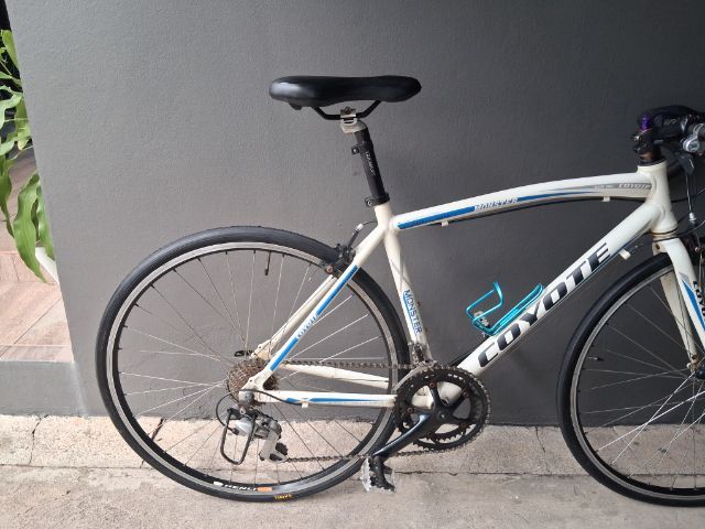เสือหมอบcoyote  monster  pro aluminum  series รูปที่ 2