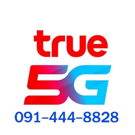 เติมเงิน ซิมสวย 8828