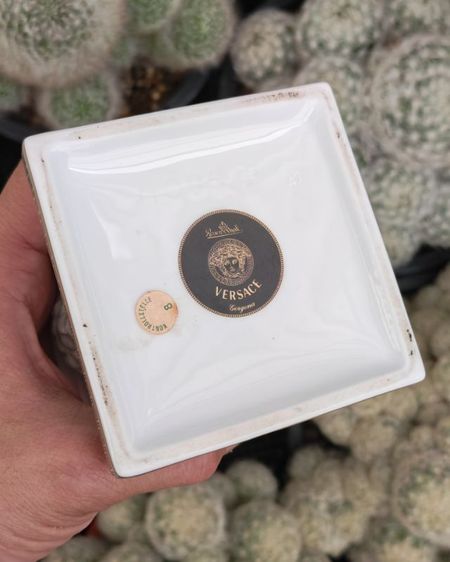 ไฟแช็ค Versace Rosenth Table Gas Lighter หายากมาก ราคาแบ่งปันครับ รูปที่ 7