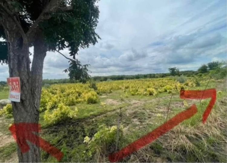 ที่ดินลพบุรี แถวเขื่อน รูปที่ 1