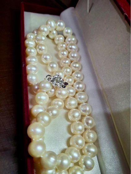สร้อยไข่มุกแท้ (Genuine Pearl Necklace)