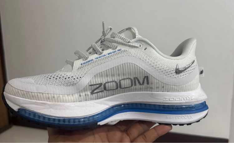 Nike Pegasus