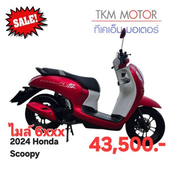 ขายด่วน honda scoopy ปี 2024