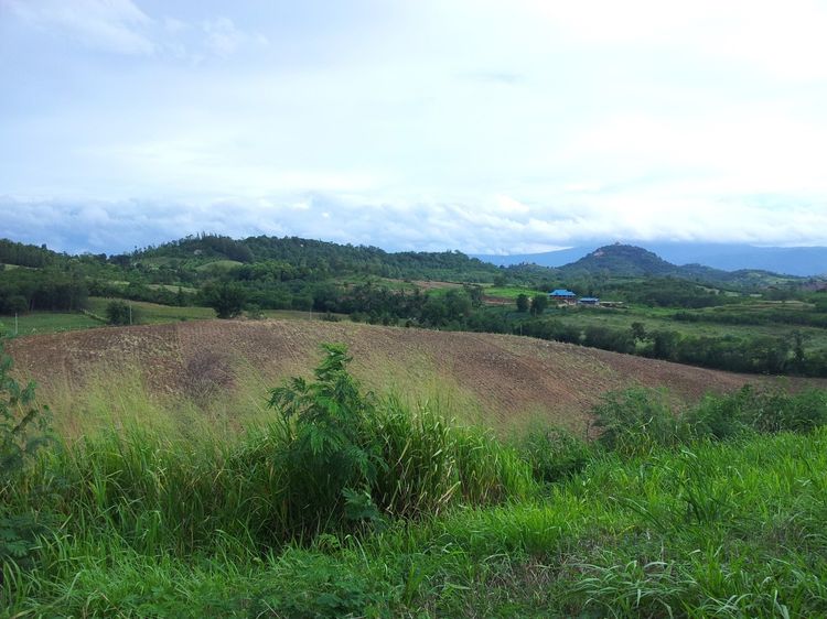 ขายที่ดิน ต.วังกะทะ อ.ปากช่อง จ.นครราชสีมา 20 ไร่