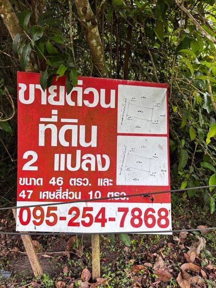 ใช่ ที่ดิน 2 แปลง ขายด่วน (เจ้าของขายเอง) รูปที่ 2