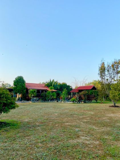 ขายที่ดินดอยสะเก็ด พร้อมบ้านพักตากอากาศ เชียงใหม่ รูปที่ 4