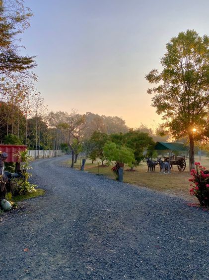 ขายที่ดินดอยสะเก็ด พร้อมบ้านพักตากอากาศ เชียงใหม่ รูปที่ 3