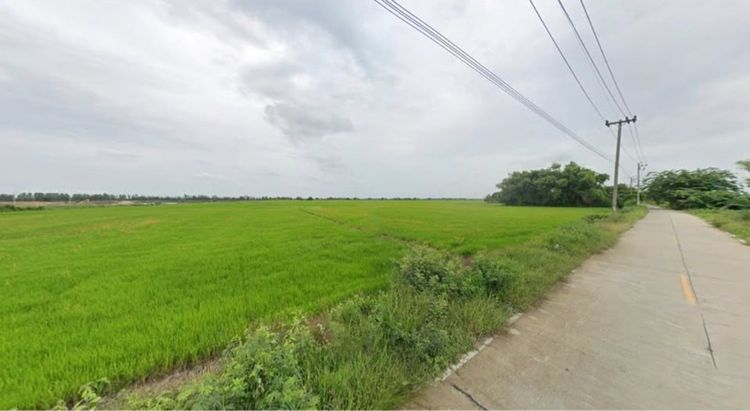 ขายที่ดินแปลงใหญ่ 295 ไร่ อ.ลาดหลุมแก้ว รูปที่ 2