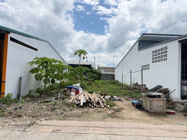 ขายที่ดิน 41 ตรว. รูปที่ 3