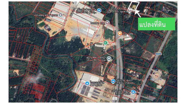 ที่ดินว่างเปล่า รูปที่ 3