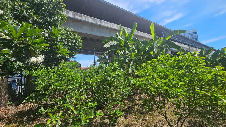 ที่ดิน 101 ตร.วา ทำเลหายาก เดิน 2 นาทีถึงสถานีหัวหมาก ARL,สายสีเหลือง) รูปที่ 4