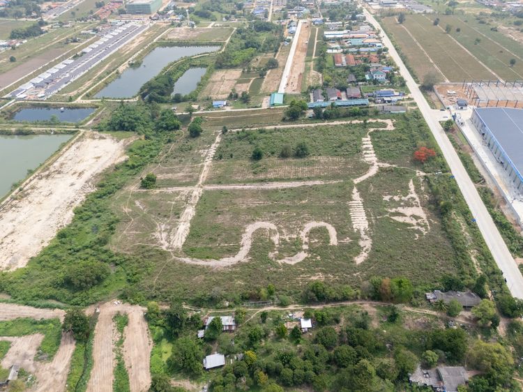 ขายที่ดินผังสีม่วงลาย นิคมพัฒนา ซอย 12 ระยอง 36 ไร่ ติดถนน