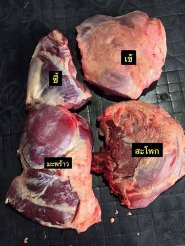 เนื้อวัว/ เครื่องในวัว เนื้อวัวขายส่ง เราขายส่งเนื้อวัวสด
