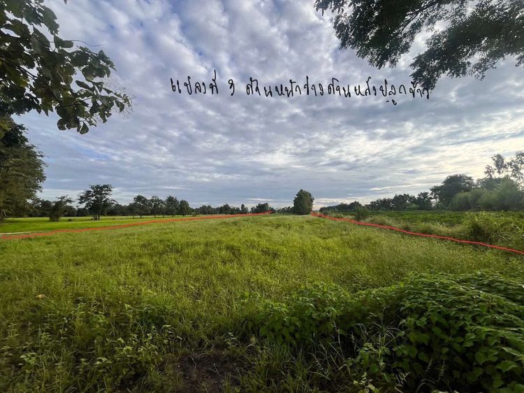 ขายที่ดิน 98 ไร่ กว่า อ.ขาณุวรลักษบุรี ถูกมาก ก่อนราคาประเมินปรับขึ้น รูปที่ 4