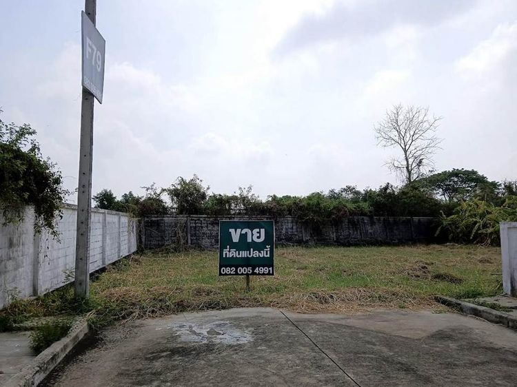 ขายที่ดินในหมู่บ้านเนเบอร์โฮม สุขาภิบาล5 รูปที่ 2